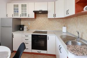 Kuchyň nebo kuchyňský kout v ubytování Apartmani Svoboda