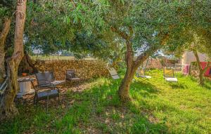 a group of chairs sitting under a tree at Pet Friendly Home In Ragusa With Wifi in Ragusa