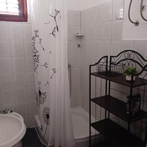 a bathroom with a shower curtain with birds on it at Apartments Elena & Damir in Vis