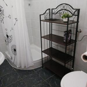 a bathroom with a shower curtain and a toilet at Apartments Elena & Damir in Vis