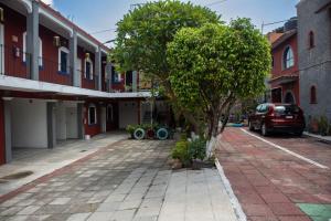 a tree on the side of a street at Hotel Casa Zoque Colonial in Tuxtla Gutiérrez