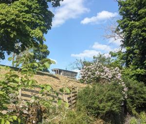 阿什伯恩The Wagon, rustic off grid experience的树上山顶的房子