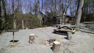 a picnic table and a grill next to a tree at Linville Falls Campground, RV Park, and Cabins in Linville Falls