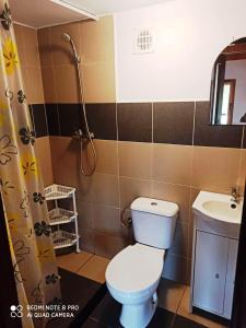 a bathroom with a toilet and a sink at Ogrzewany domek nad jeziorem, mazury in Szczytno