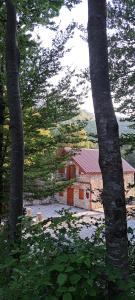 a house in the middle of a forest of trees at VD Forest villa in Cetinje +8 photos
