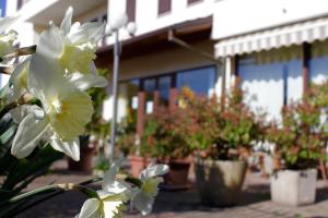 Kép Hotel Certosa szállásáról Certosa di Paviában a galériában
