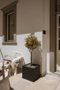 Fotografie z fotogalerie ubytování Alma Syros v destinaci Ermupoli