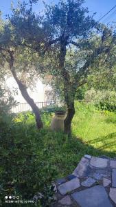 Φωτογραφία από το άλμπουμ του Appartamento il Giardino σε Carignano