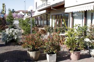 Kép Hotel Certosa szállásáról Certosa di Paviában a galériában