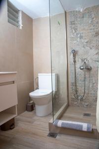 a bathroom with a toilet and a glass shower at Akti Luxury Rooms & Apartments in Olympiaki Akti