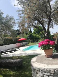 Πισίνα στο ή κοντά στο Sophie et Jamiel +11 φωτογραφίες