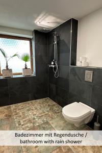 a bathroom with a white toilet and a shower at KORN14 Loft - Parken, Küche in Freinsheim
