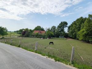 Příroda nedaleko apartmánu