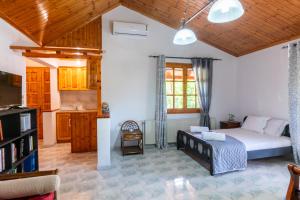 a living room with a bed and a kitchen at Country House Elaionas 