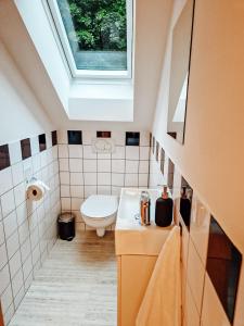 a bathroom with a toilet and a skylight at Villa Waldblick in Wagerberg +15 photos