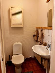 a bathroom with a toilet and a sink at Rosengården - Viby B&Bi in Vretstorp +33 photos
