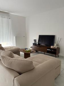Μια τηλεόραση ή/και κέντρο ψυχαγωγίας στο Appartement luxueux à 4 minutes de l'aéroport de genève