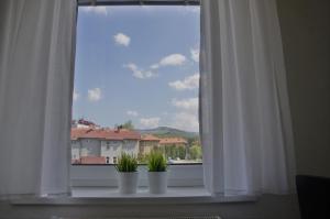 Nespecifikovaný výhled na hory nebo výhled na hory při pohledu z apartmánu