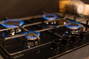 a gas stove top with blue flames on it at Persia Collection Colosseo in Rome