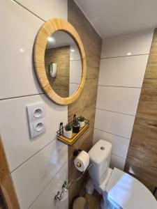 a bathroom with a white toilet and a mirror at Mały domek nad rzeką, Obidza 381 Łącko in Obidza