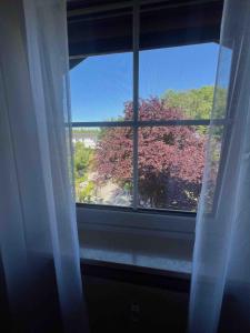 une fenêtre avec vue sur un arbre rouge dans l'établissement Home Sweet Home - Gemütliche Ferienwohnung, à Soyen