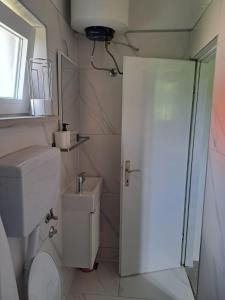 a bathroom with a toilet and a glass door at Apartman Mia in Perušić +10 photos