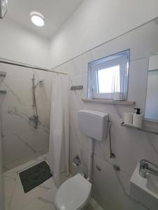 a bathroom with a toilet and a shower and a sink at Apartman Mia in Perušić