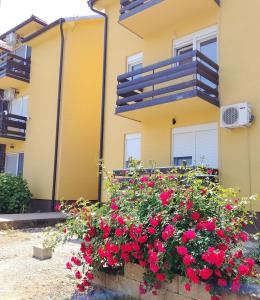 Budova, kde se apartmán nachází + 16 fotografií