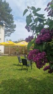 a group of chairs in a yard with purple flowers at Apartamenty Bliza in Ostrowo