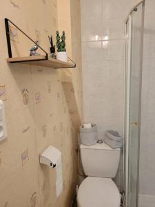 a small bathroom with a toilet and a shower at Maison calme au pied du Chateau in Le Blanc +6 photos