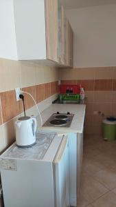 Kuchyň nebo kuchyňský kout v ubytování Vesna apartmani, Igalo