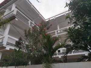 a white building with a plant in front of it at Beach life long beach resort in Trincomalee +50 photos