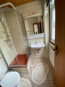a bathroom with a shower and a sink and a toilet at Münzbach Ferienzimmer in Bacharach +17 photos