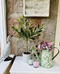a plant in a vase sitting on a window sill at Craigen Cottage Ballater in Ballater