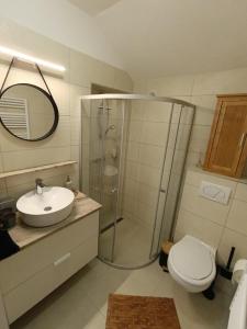 a bathroom with a shower and a toilet and a sink at Panorama Hill in Szombathely +28 photos