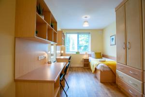 戈尔韦132 - Spacious Apt with Parking的小房间,配有床和书桌