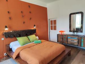 a bedroom with a bed and a dresser and a mirror at Bastide du château in Montfaucon +26 photos