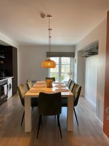 Kuchyň nebo kuchyňský kout v ubytování Raunex Apartment