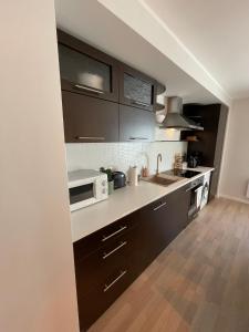 Kuchyň nebo kuchyňský kout v ubytování Raunex Apartment