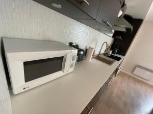 Kuchyň nebo kuchyňský kout v ubytování Raunex Apartment