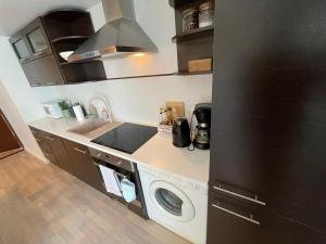 Kuchyň nebo kuchyňský kout v ubytování Raunex Apartment