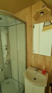 a bathroom with a shower and a sink and a mirror at Veselia Glamping in Valea Drăganului
