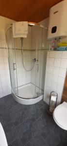 a bathroom with a shower and a toilet at Kleines Ferienhaus Heyne in Rerik +1 photo