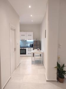 Kuchyň nebo kuchyňský kout v ubytování Elli Studio on Ermou 246