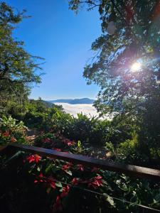 a view of the ocean from a garden with flowers at Recanto Vista Verde in Nova Petrópolis +20 photos