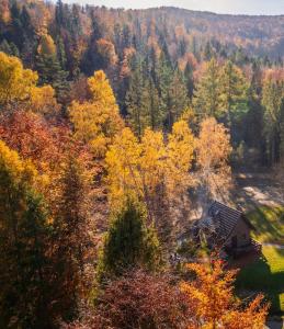 Φυσικό τοπίο κοντά σε αυτό το διαμέρισμα
