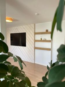 TV a/nebo společenská místnost v ubytování Raunex Apartment + 35 fotografií