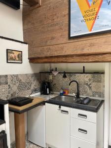 eine Küche mit Spüle und Arbeitsplatte in der Unterkunft Rose-Vally Cottage in Borský Svätý Jur