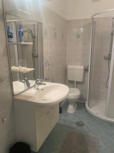 Koupelna v ubytování Apartma Alba