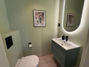a bathroom with a sink and a toilet and a mirror at Moderne hus i sentrum av Lillestrøm in Lillestrøm +13 photos